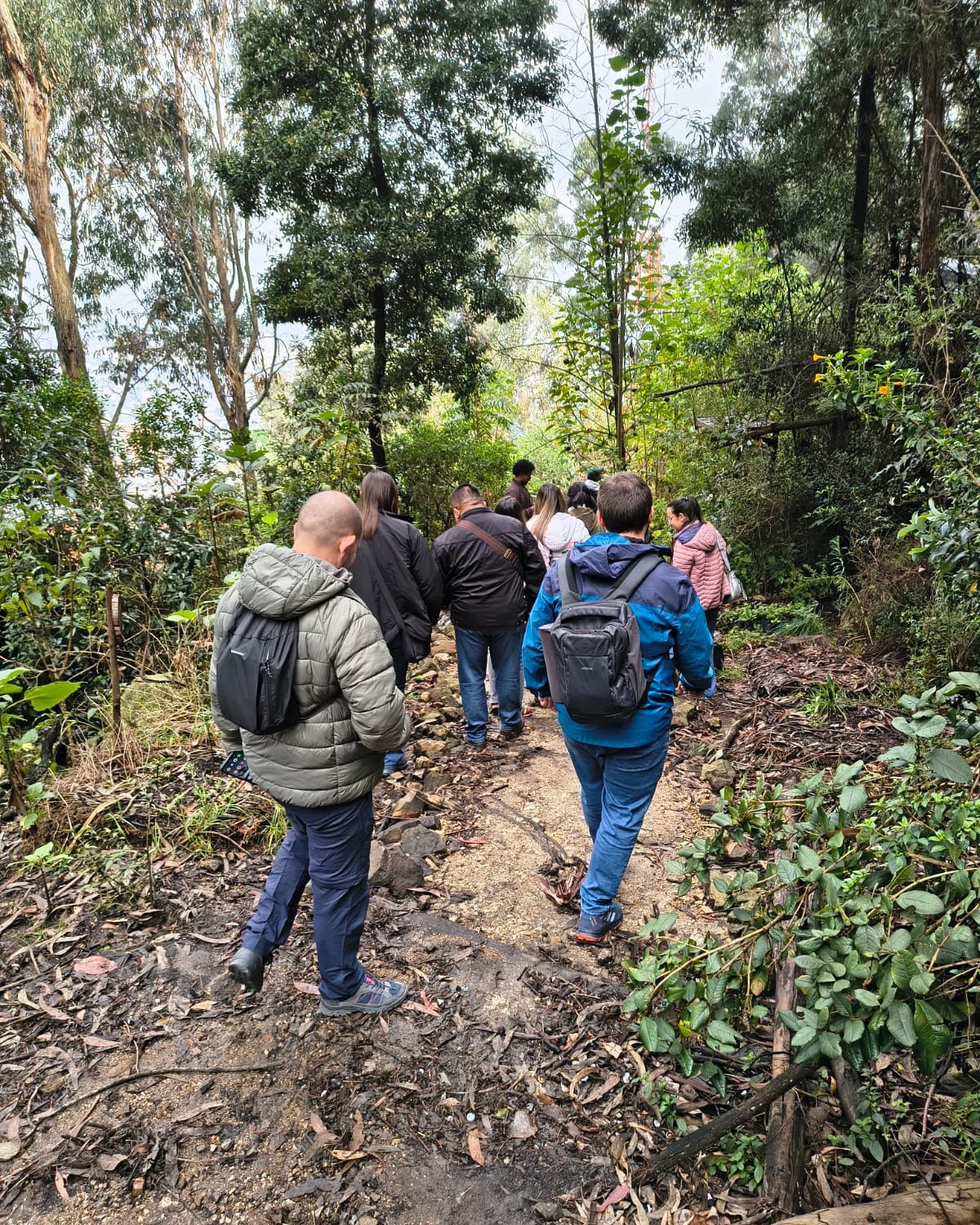 Equipo de Gente y Medio Ambiente en un recorrido técnico de campo