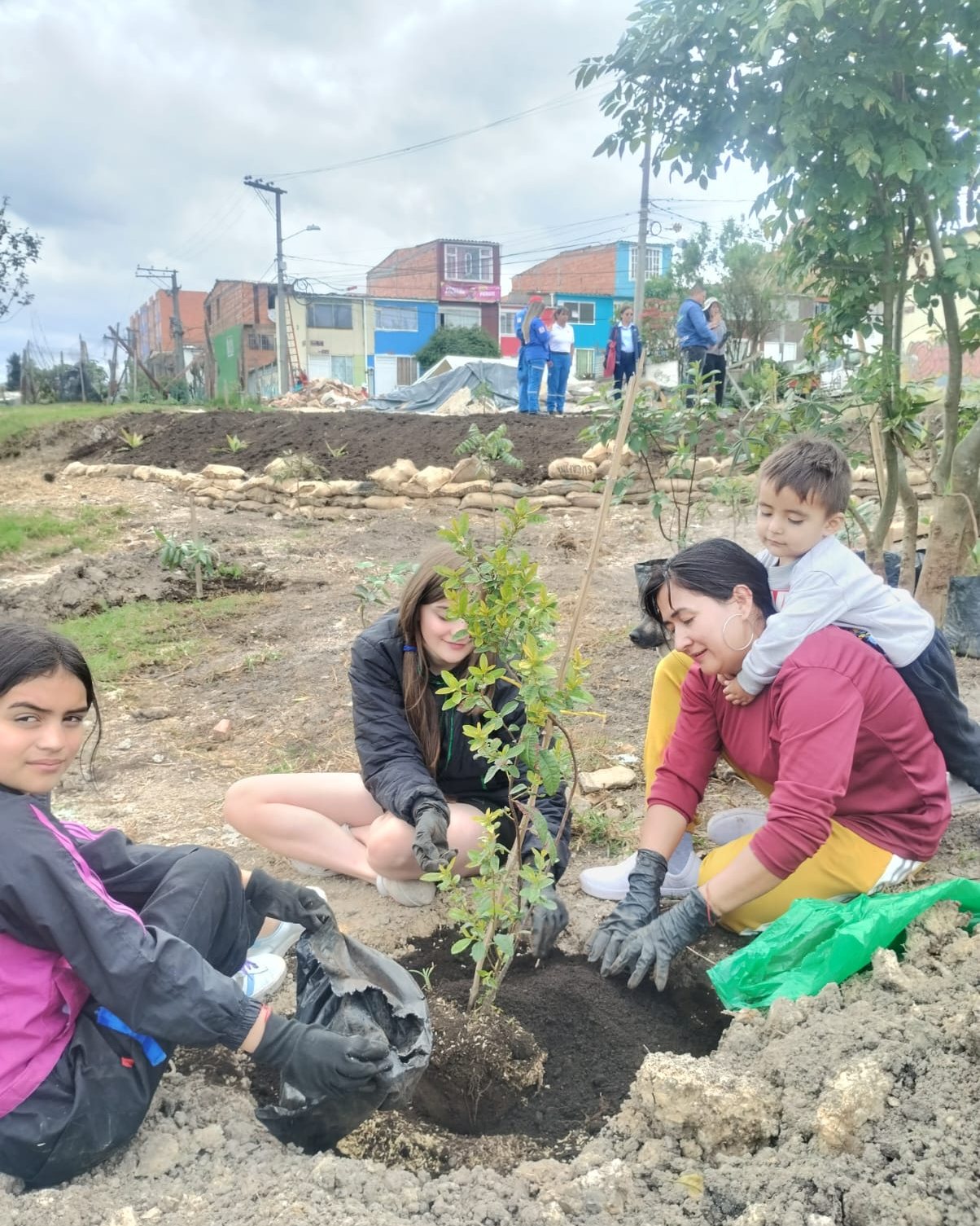 Jornada de siembra comunitaria de árboles nativos
